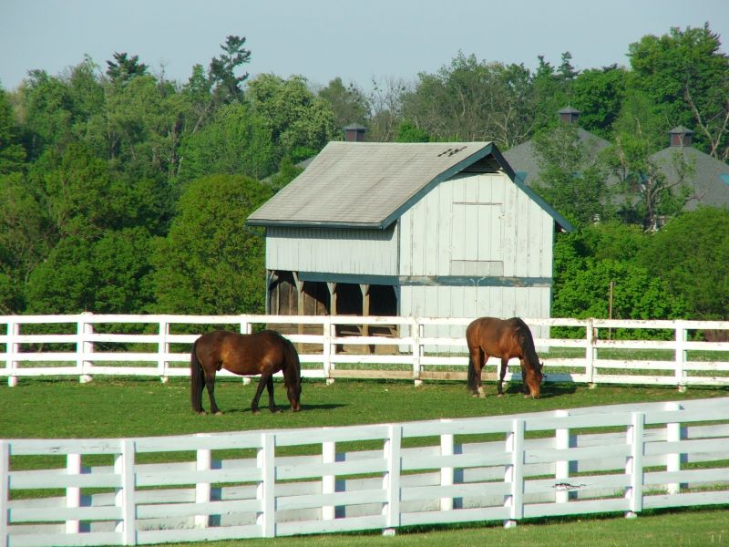 Barn Roof Construction in Naperville, IL